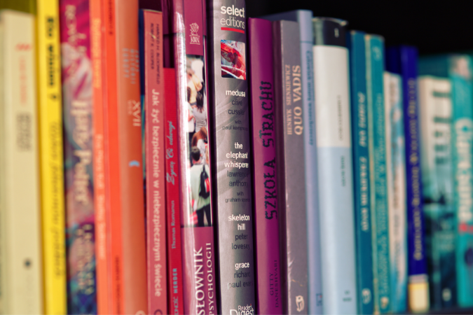 CEO Book Ideas